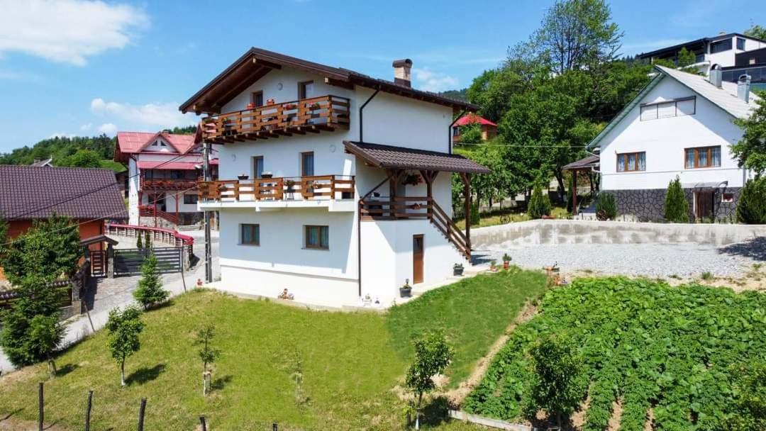 Pensiunea Hantig Tura Borsa  Exterior photo